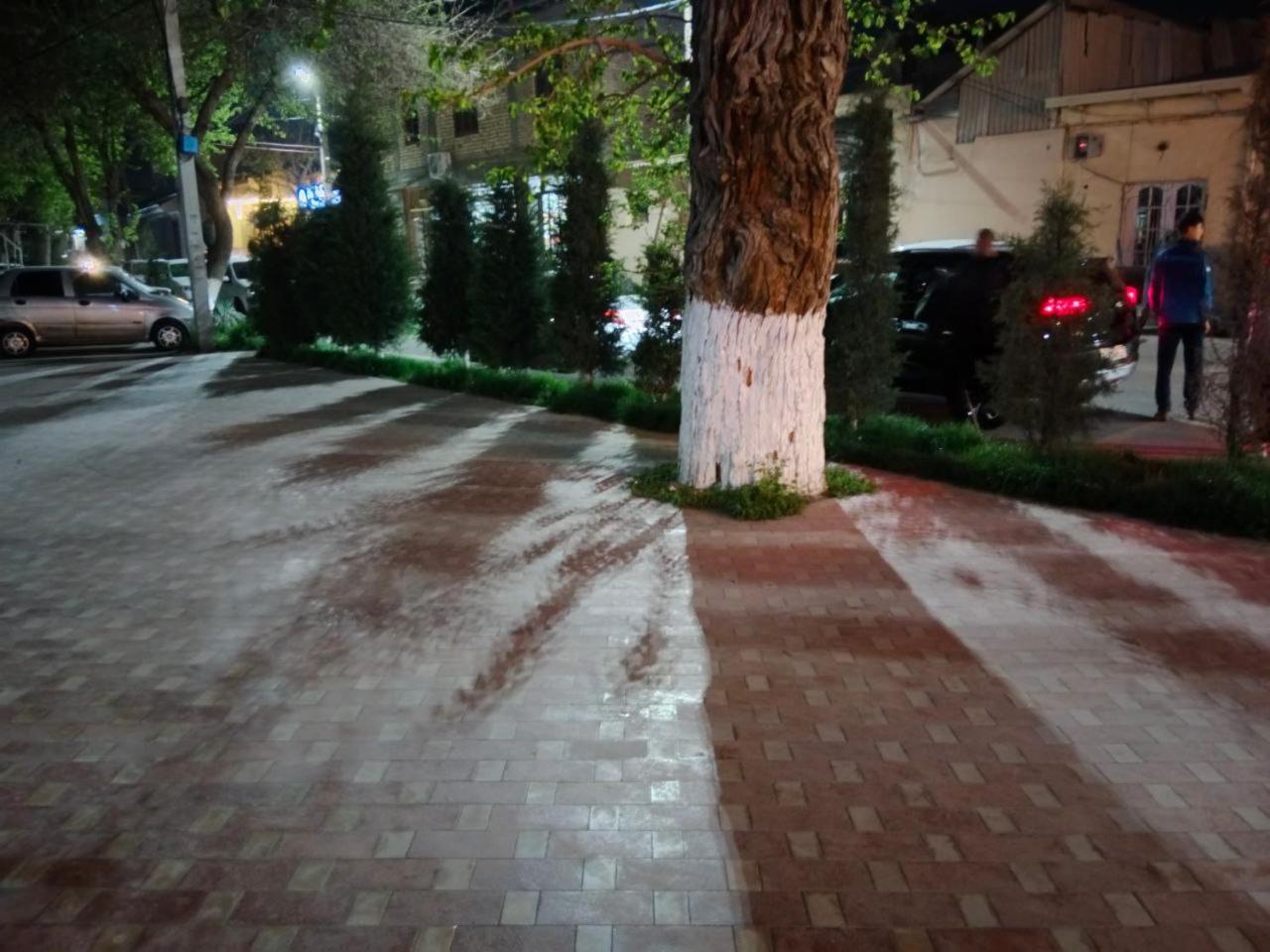 Gulsara Hostel Samarkanda Zewnętrze zdjęcie